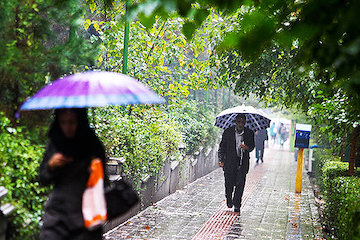 رشد ۱۴۱ درصدی بارش باران